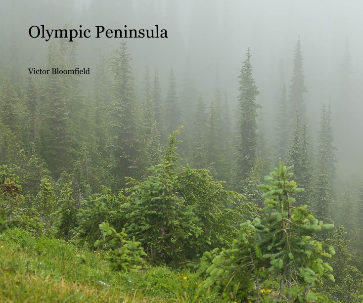 View Olympic Peninsula by Victor Bloomfield