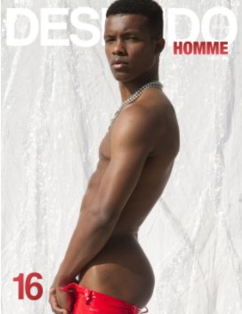 Desnudo Homme 16 book cover