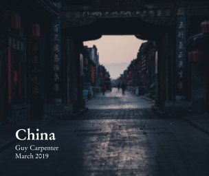 China 2019 book cover
