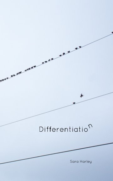 View Differentiation by Sara Harley