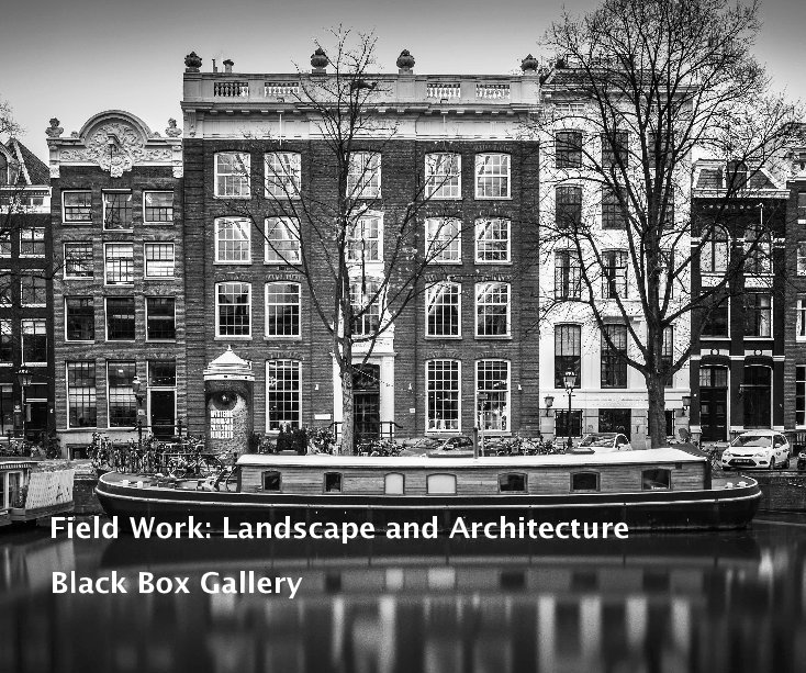 Field Work: Landscape and Architecture nach Black Box Gallery anzeigen