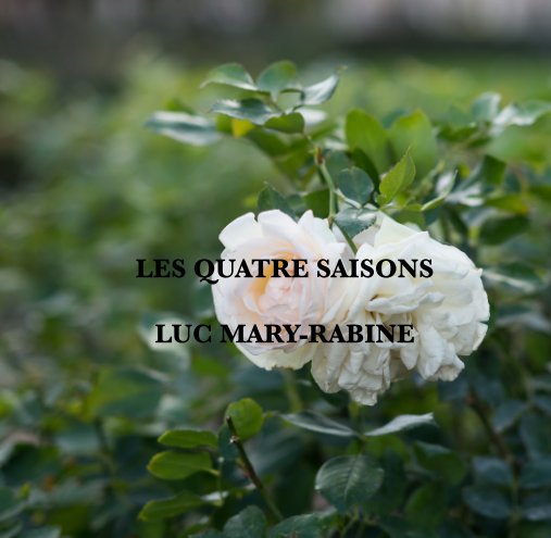 View Les quatre saisons by Luc Mary-Rabine