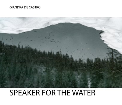Speaker for the Water book cover