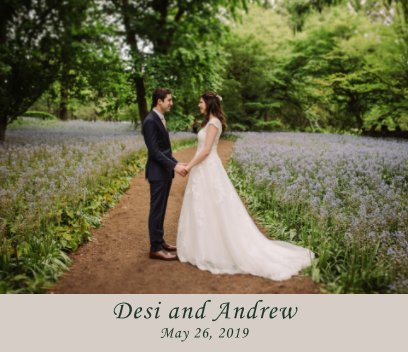 Desi and Andrew book cover