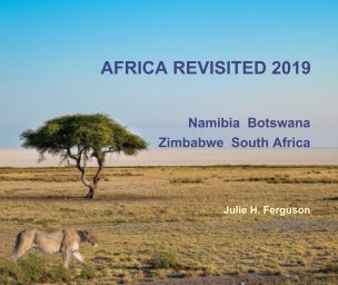 Africa Revisited 2019 book cover