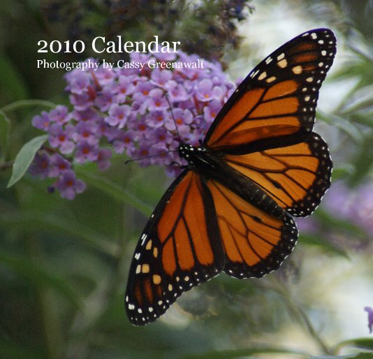 Ver 2010 Calendar Photography by Cassy Greenawalt por Casper46