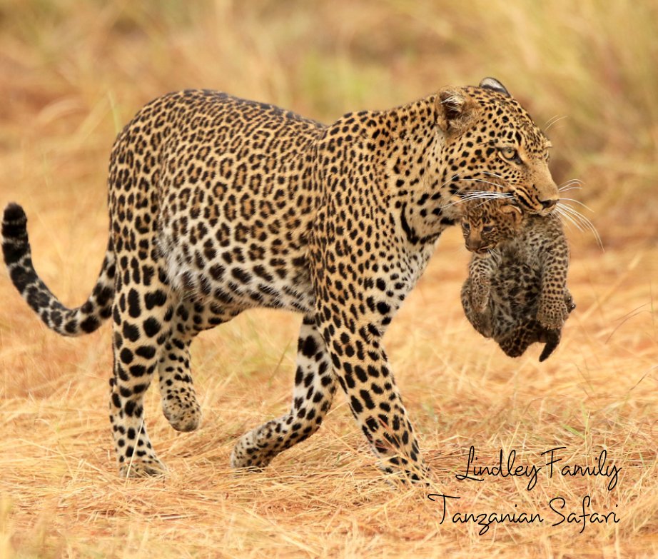 View Lindley Family Tanzanian Safari 2018 by Dominyk Lever