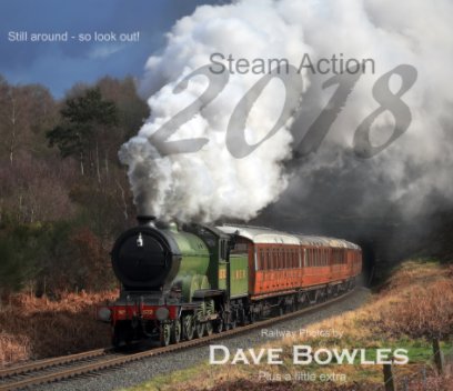 Steam Action 2018 book cover