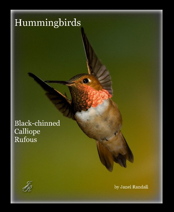 Ver Hummingbirds por Janel Randall