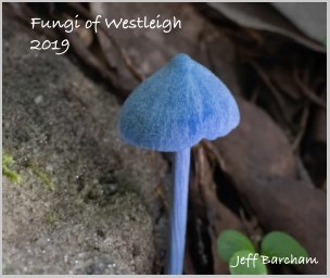 Fungi of Westleigh 2019 book cover