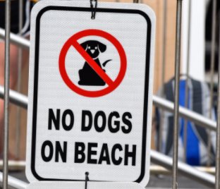 No Dogs On Beach (hardcover) book cover