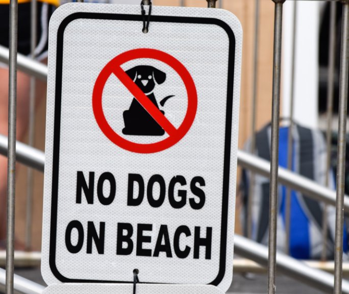 No Dogs On Beach (softcover) nach julia smith anzeigen