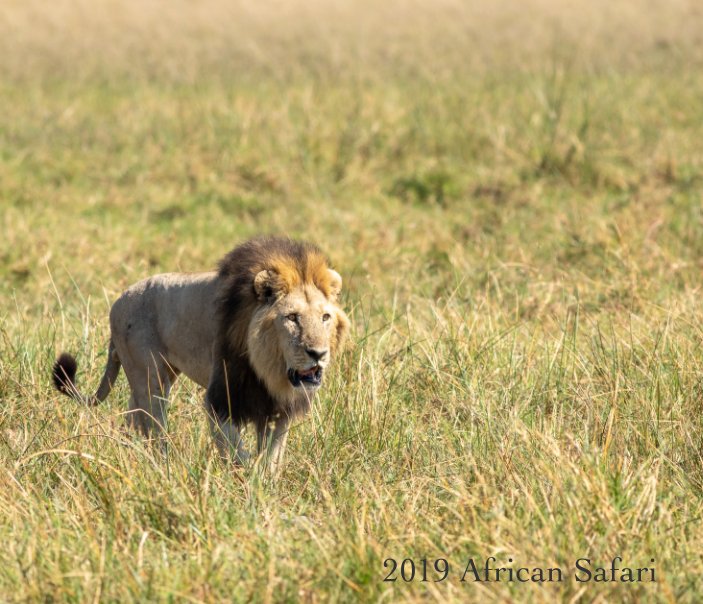 2019 African Safari nach Antoine Jordans anzeigen
