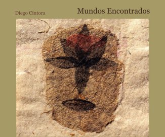Mundos Encontrados book cover