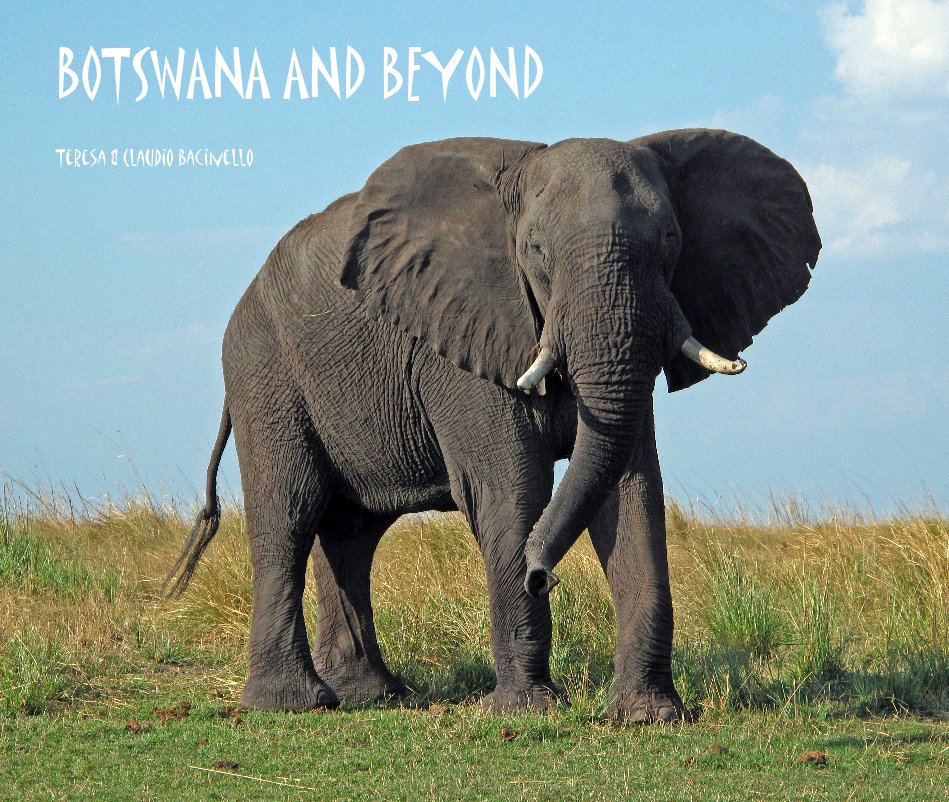 View BOTSWANA AND BEYOND by Teresa & Claudio Bacinello