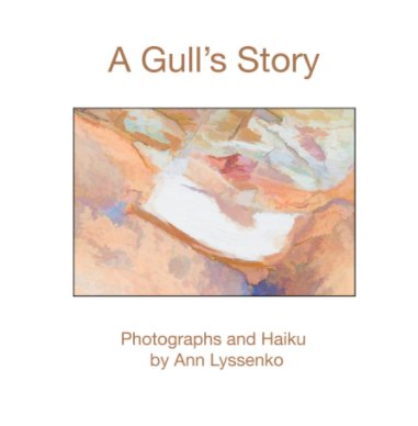 A Gull's Story book cover