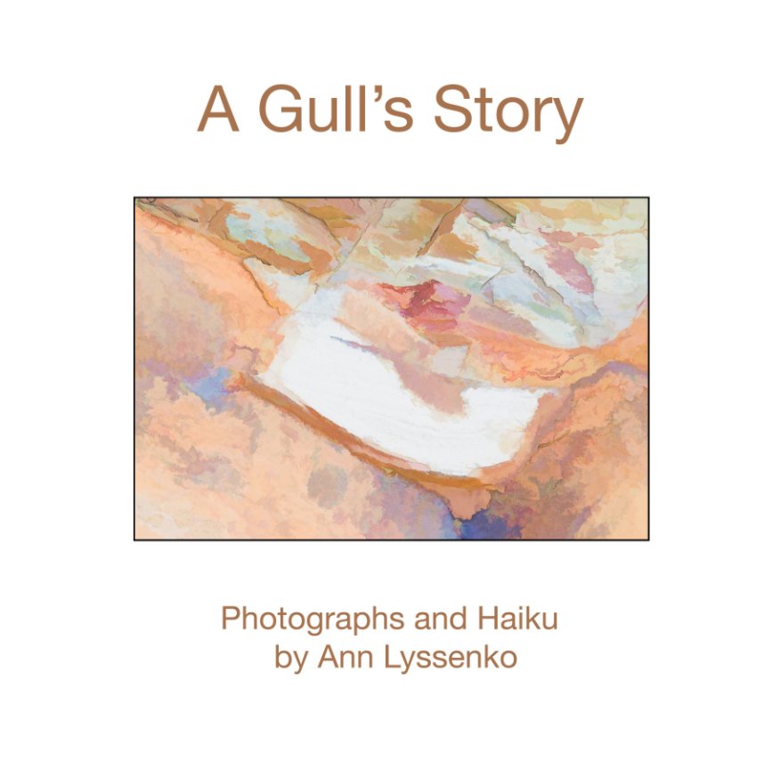 View A Gull's Story by Ann Lyssenko