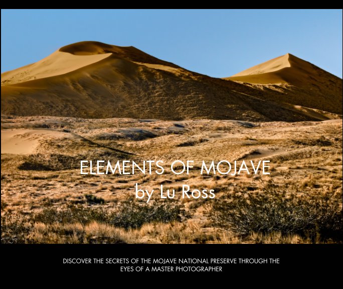 View Elements of Mojave by Lu Ross