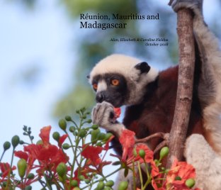 Réunion, Mauritius and Madagascar book cover