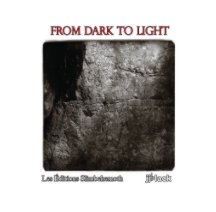From Dark To Light book cover