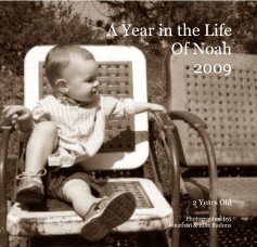 A Year in the Life Of Noah 2009 book cover