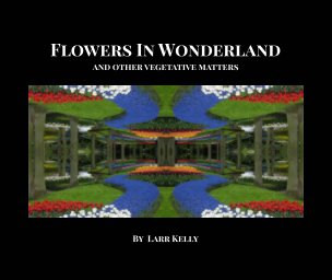 Flowers In Wonderland book cover
