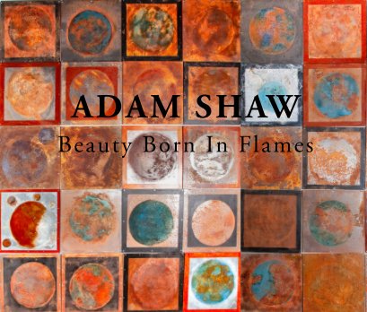 Adam Shaw book cover