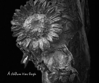 Á slóðum Van Gogh book cover