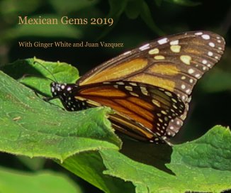 Mexican Gems 2019 book cover