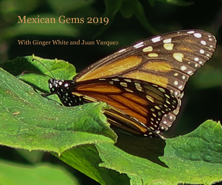 View Mexican Gems 2019 by Ginger White