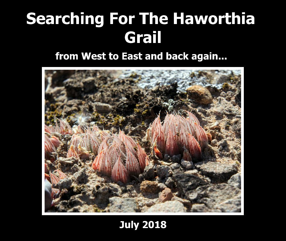 View Searching For The Haworthia Grail by Jakub Jilemicky