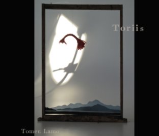 Toriis book cover