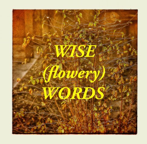 Ver WISE (flowery) WORDS por Jennifer Murray