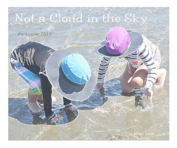 Visualizza Not a Cloud in the Sky di Mike Lane