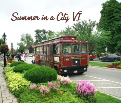 Summer in a City VI book cover
