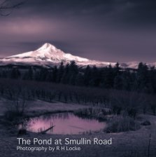 The Pond on Smullin Road book cover