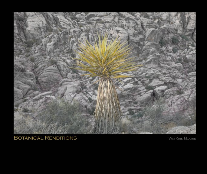 Visualizza Botanical Renditions di Wm Kirk Moore