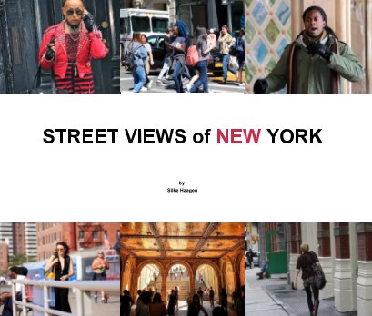 Street Views of New York book cover