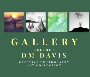 Gallery Volume 5 book cover