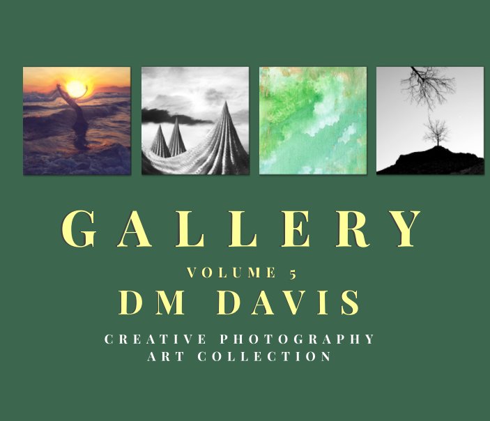 View Gallery Volume 5 by DM Davis