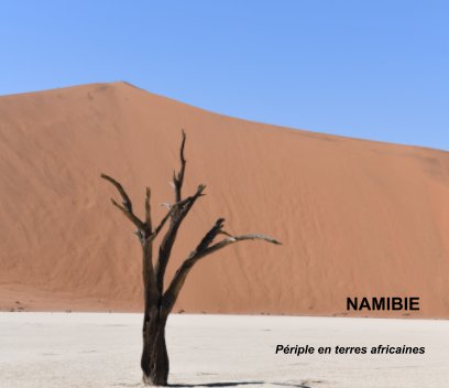 Namibie, périple en terres africaines book cover