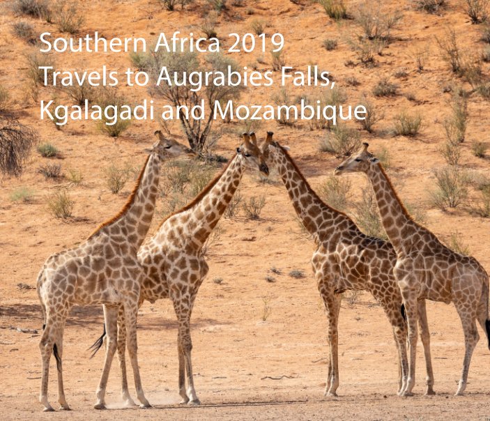 View Southern Africa 2019 by Robert Hewitt
