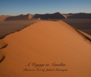 A Voyage to Namibia book cover
