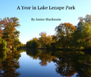 A Year in Lake Lenape Park book cover