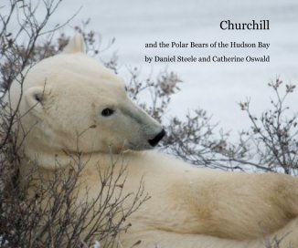 Churchill book cover