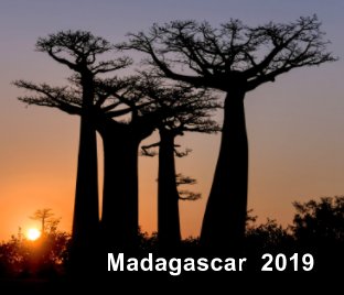 Madagascar 2019 book cover