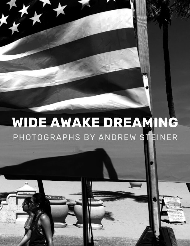 Ver Wide Awake Dreaming: Photographs by Andrew Steiner por Eat Paint Studio