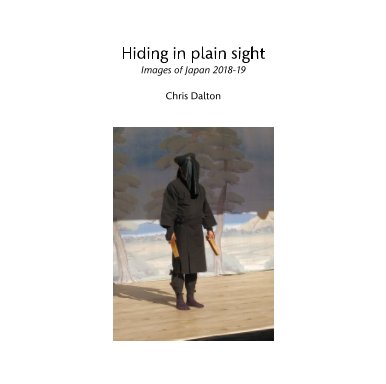 Hiding in plain sight book cover