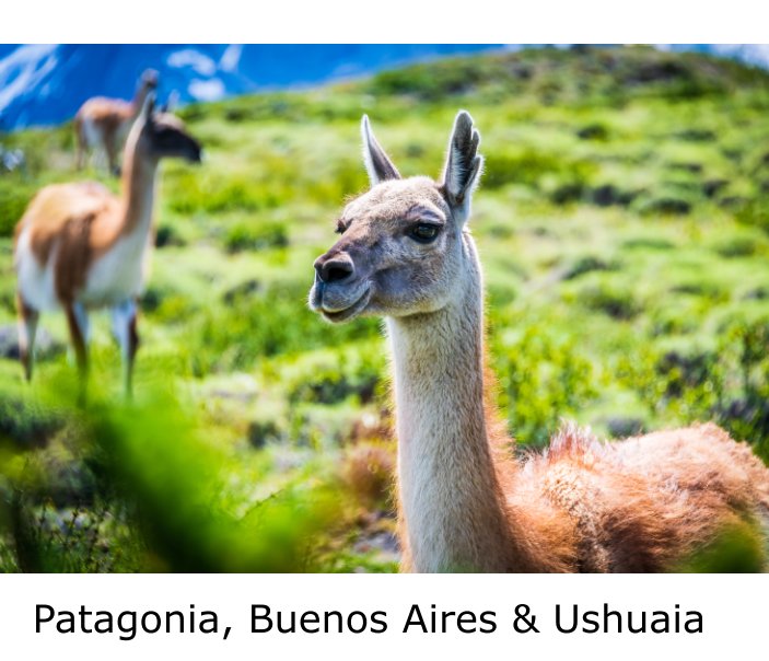 Ver Patagonia, Buenos Aires and Ushuaia por Keith McInnes