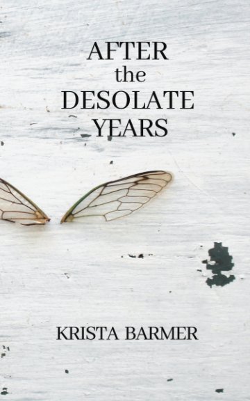 View After the Desolate Years by Krista Barmer